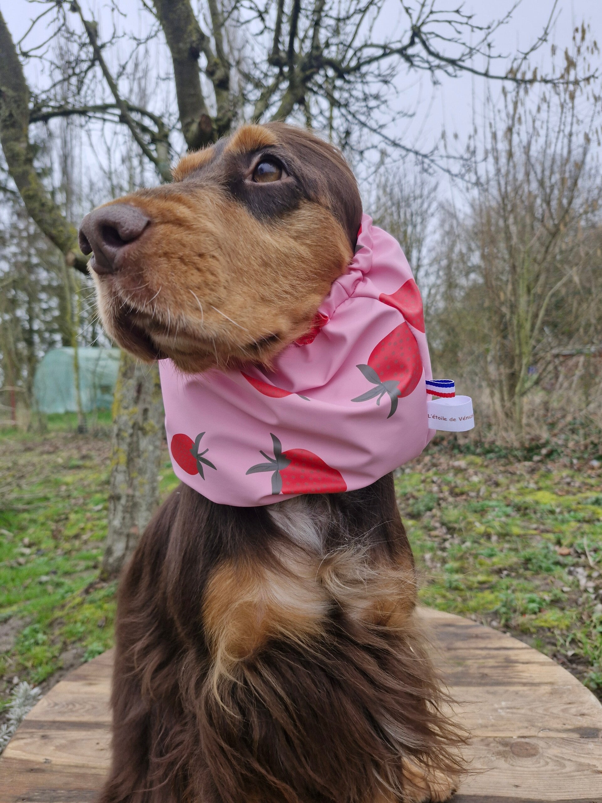 Snood imperméable fraise 🍓