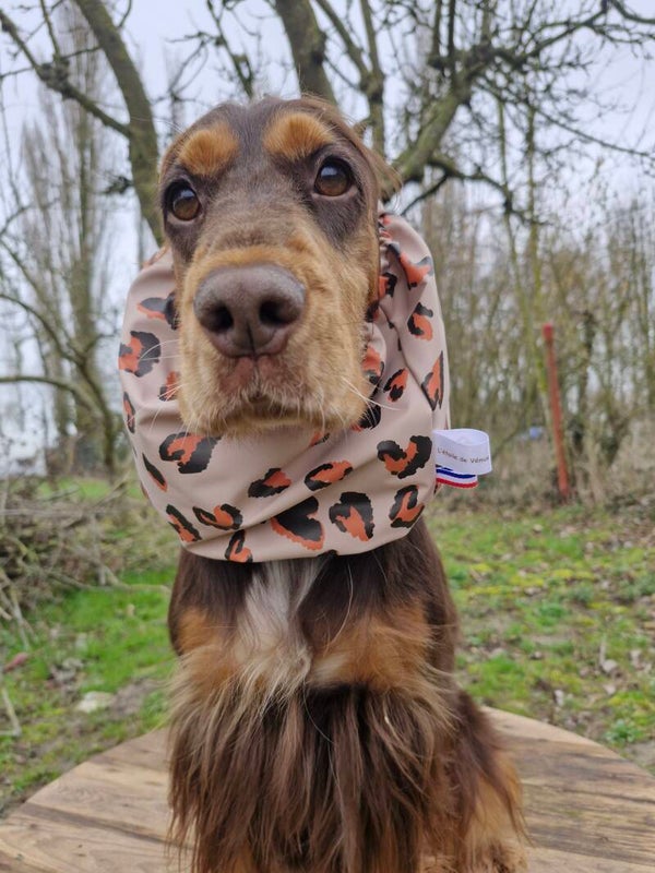 Snood imperméable léopard 🐆