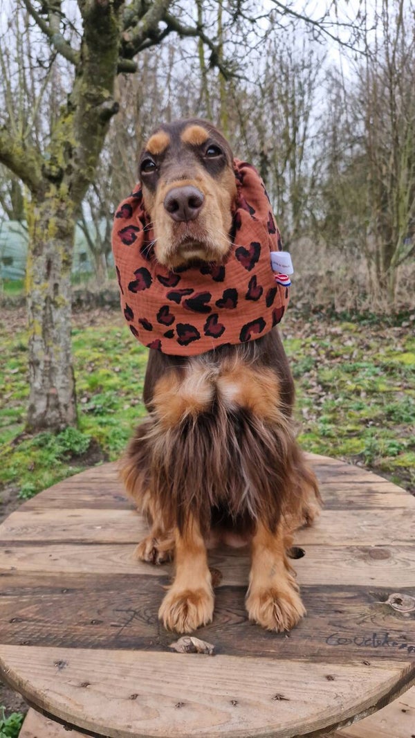 Snood en double gaze de coton léopard 🐆