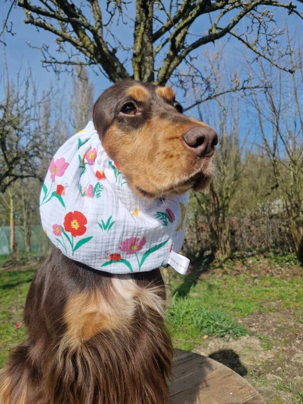 Snood en double gaze de coton