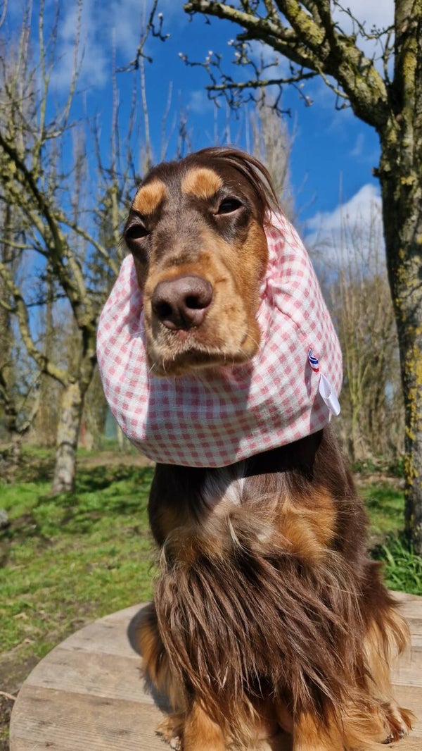 Snood cocker en double gaze de coton vichy rose