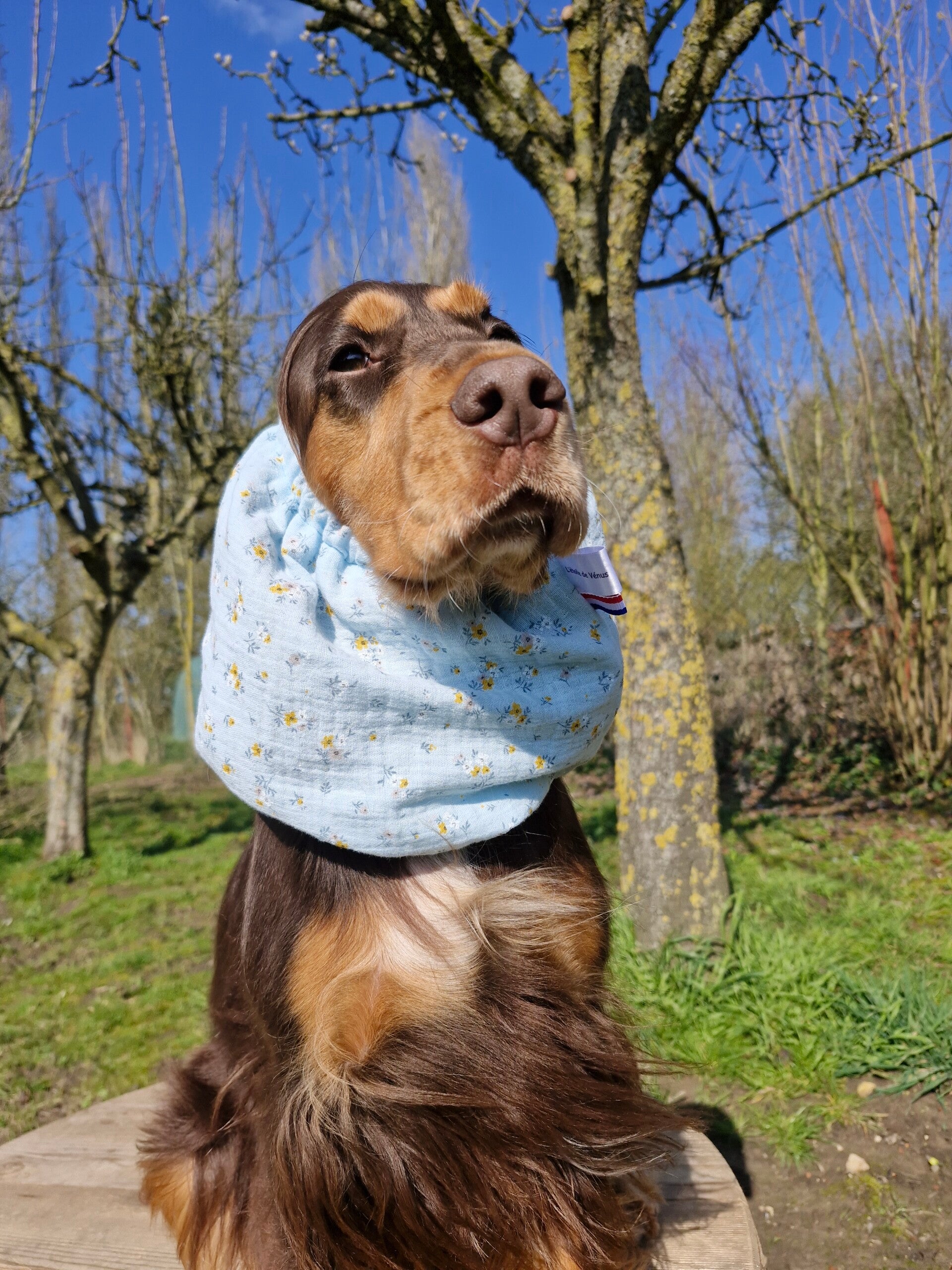 Snood cocker en double gaze de coton Bridgerton 🌸