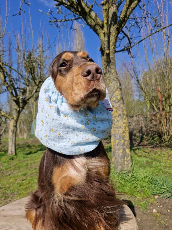 Snood cocker en double gaze de coton Bridgerton 🌸
