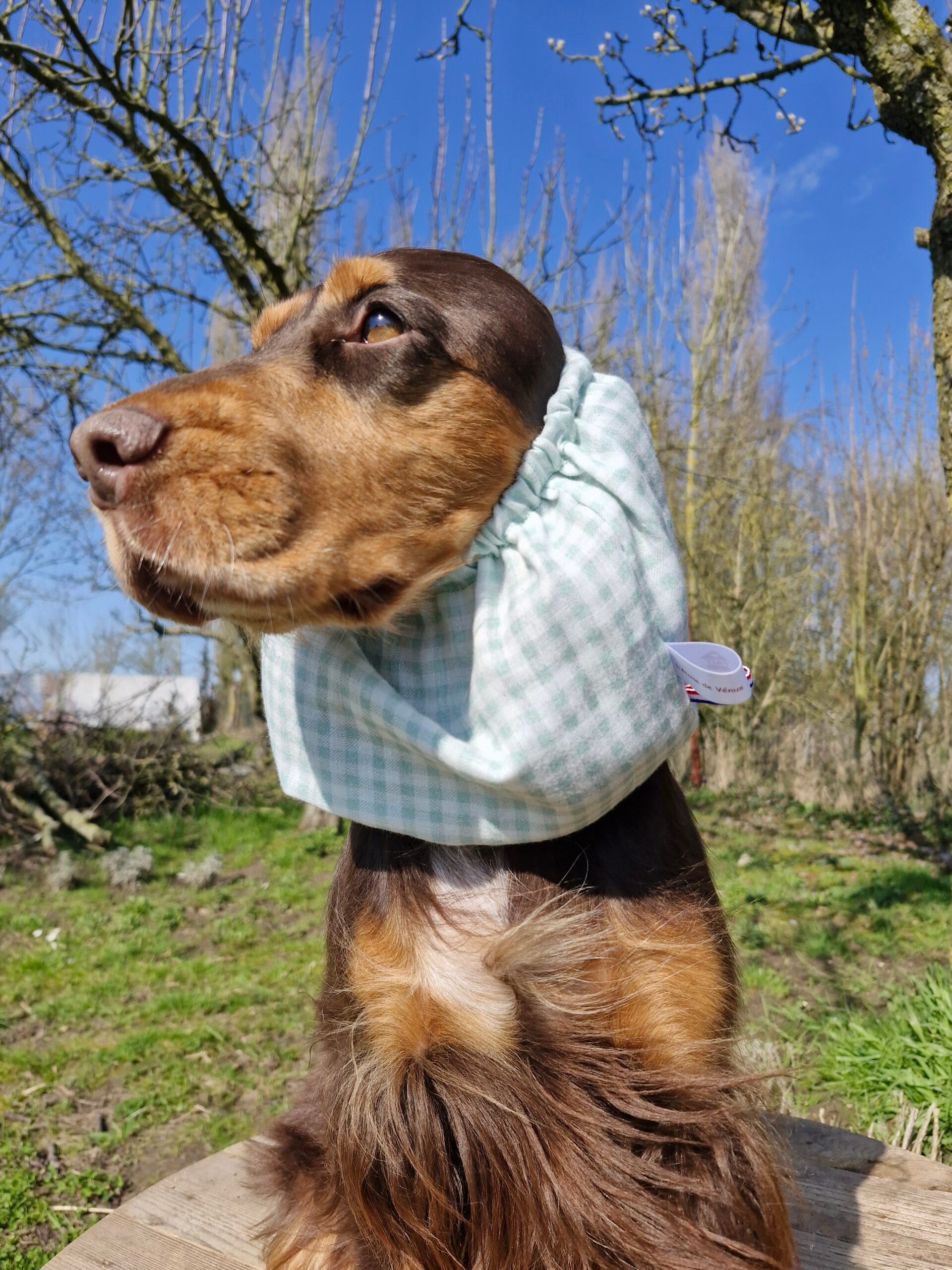 Snood cocker en double gaze de coton Vichy