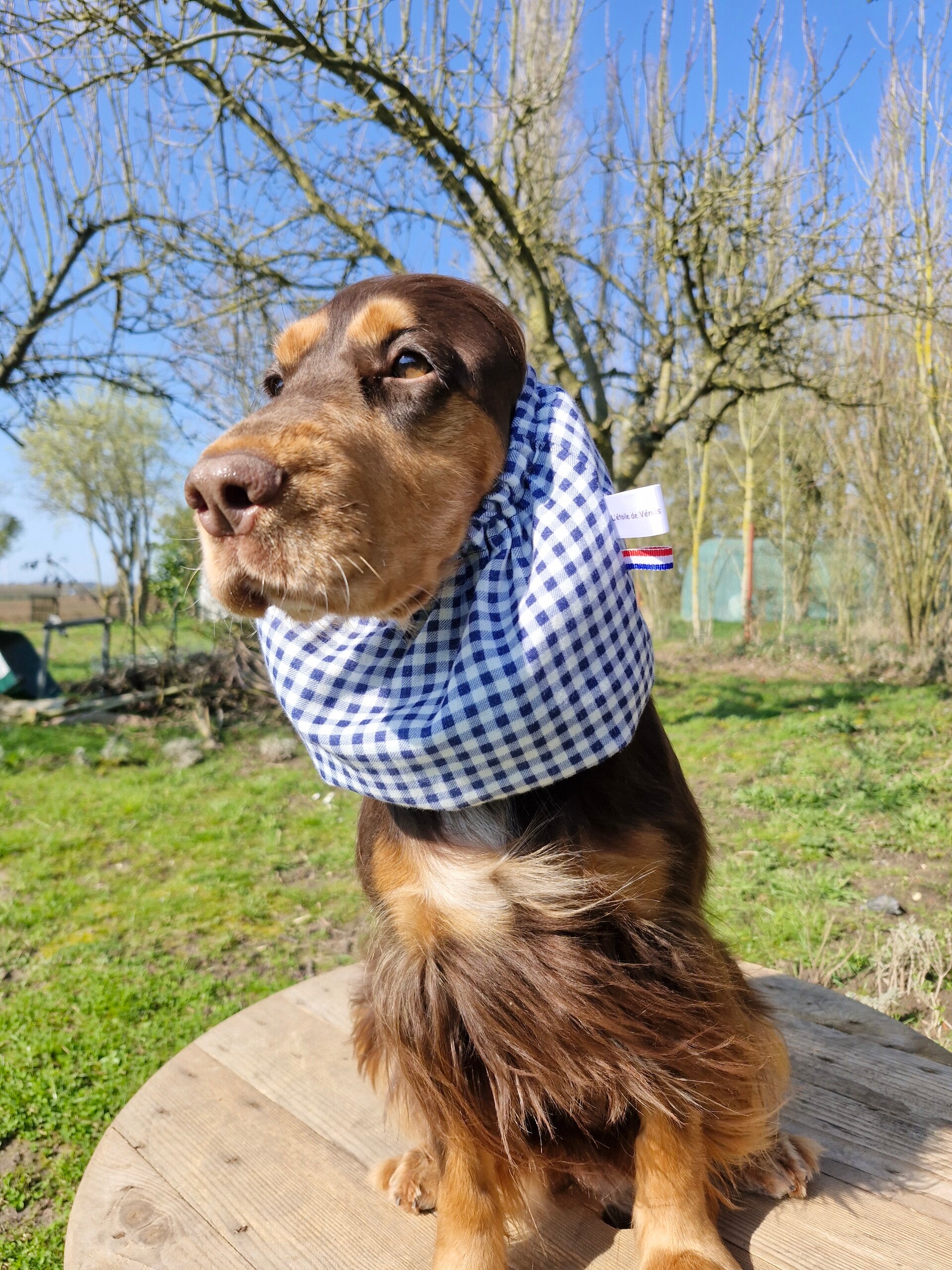 Snood cocker en double gaze de coton Vichy 💙