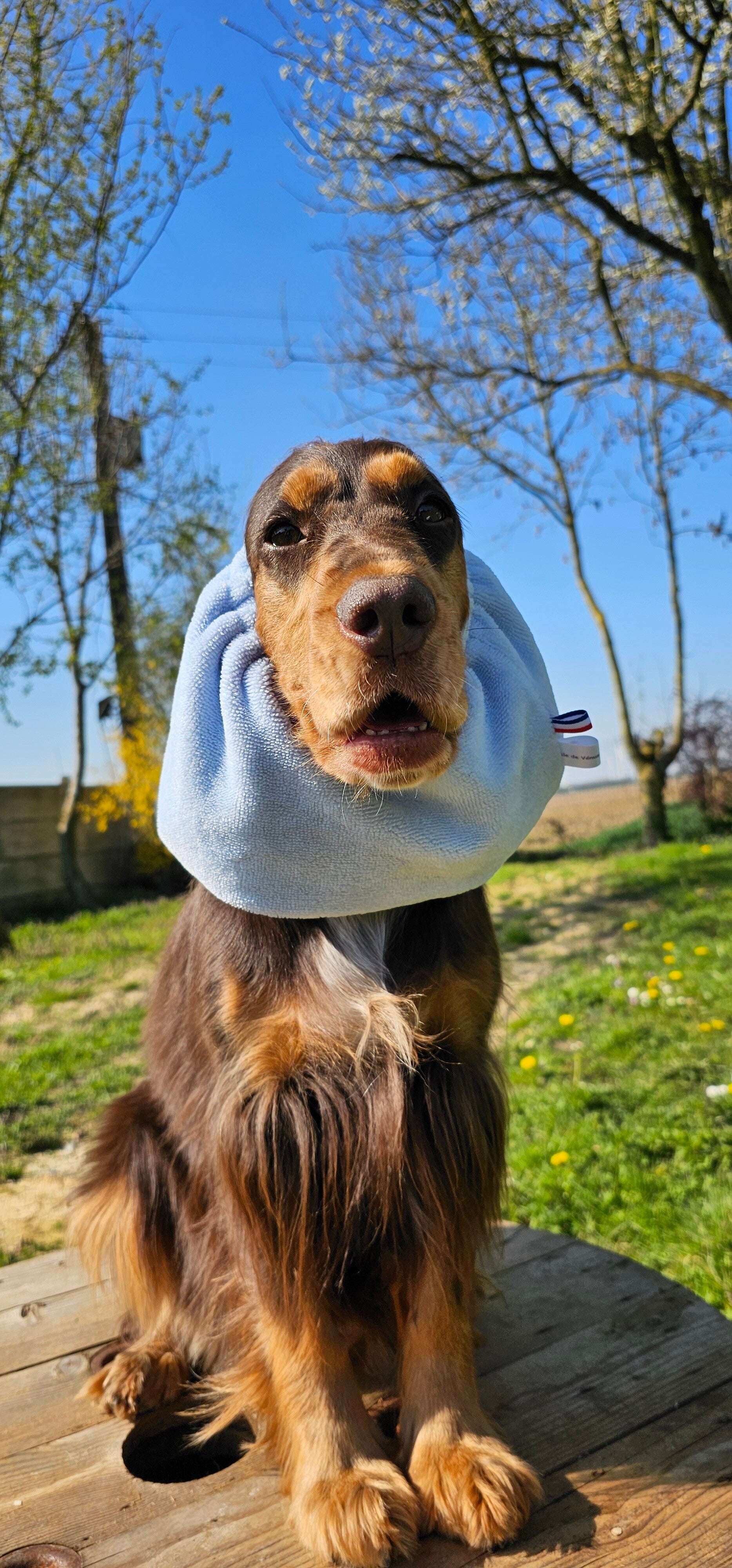 Snood cocker en éponge absorbante 💙