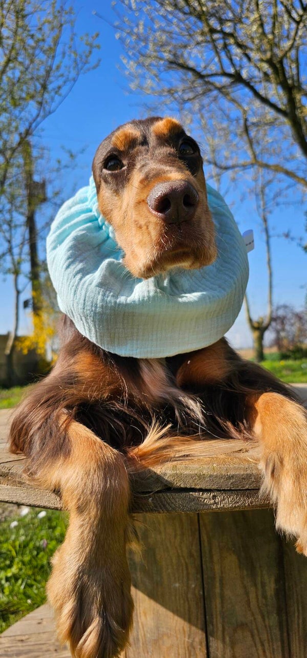 Snood en double gaze de coton 💙