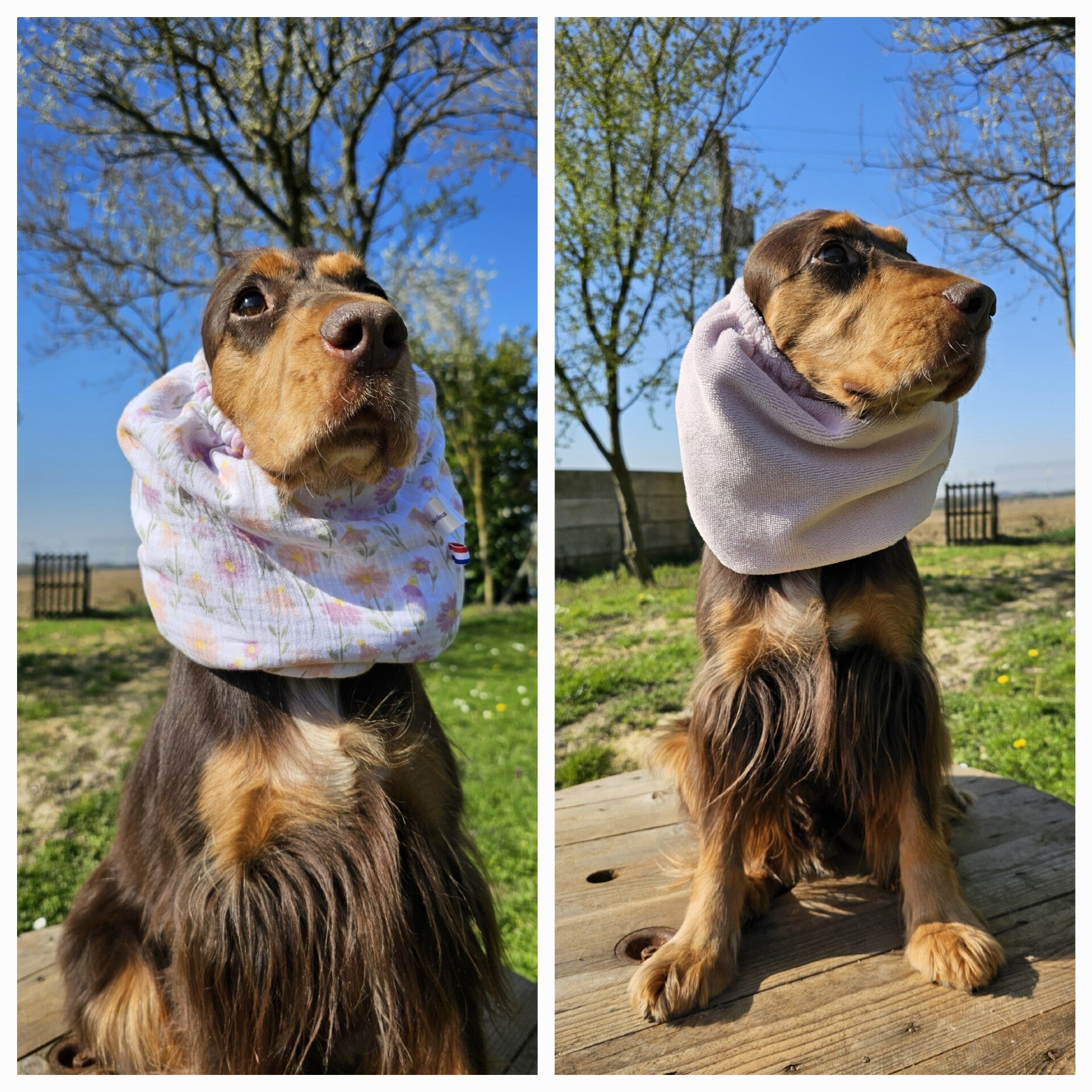 Snood réversible en double gaze de coton/ éponge