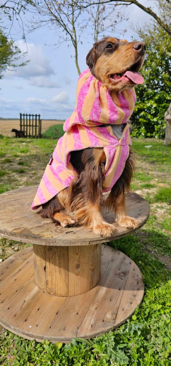 Peignoir de bain et snood de bain cocker 🛁