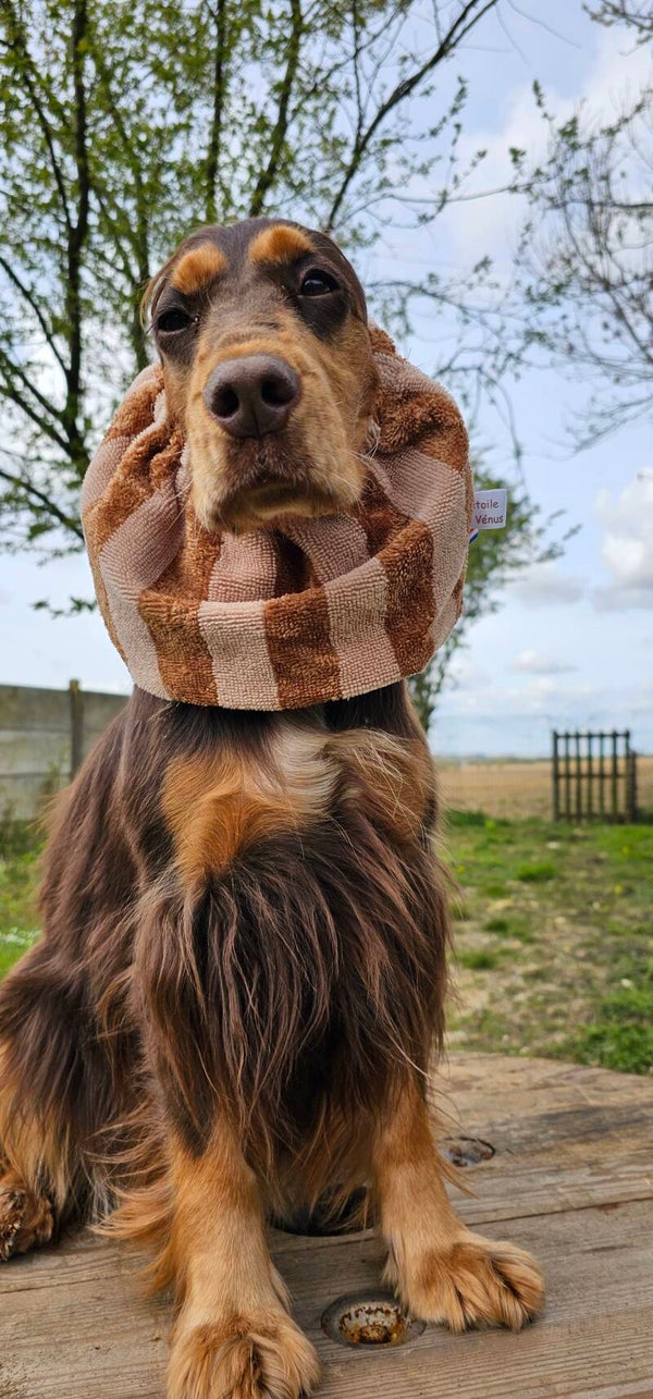 Snood cocker en éponge absorbante 🛁