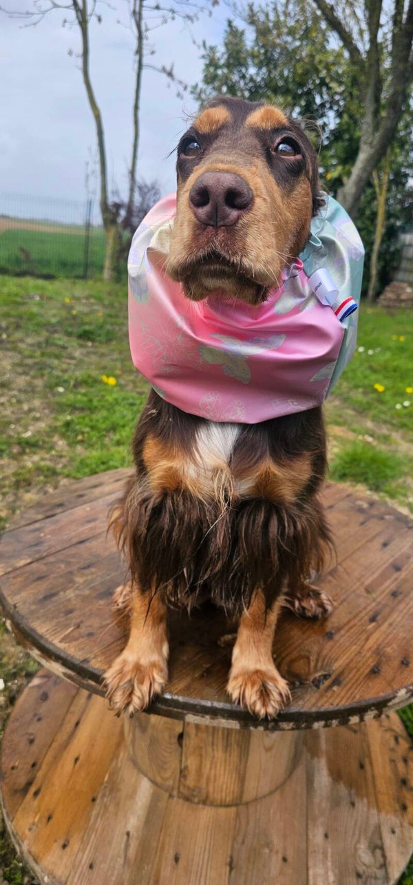 Snood imperméable 🦋