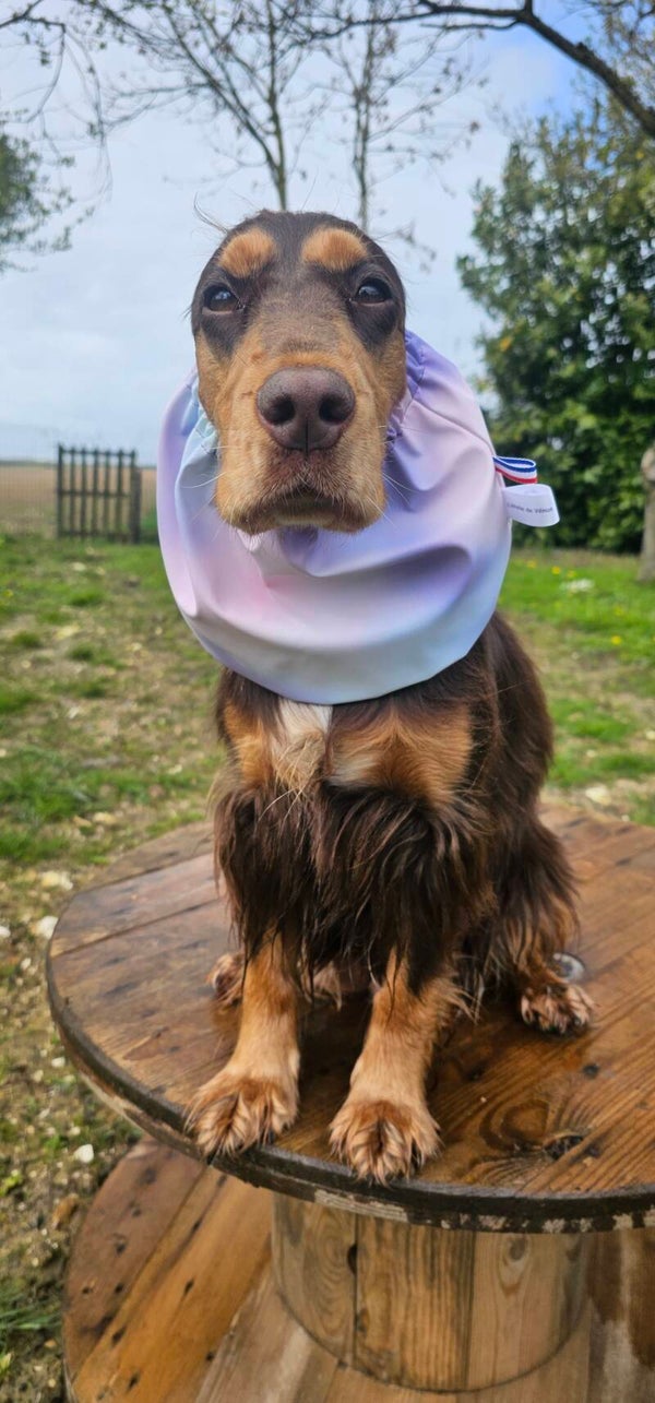 Snood cocker  imperméable Rosy