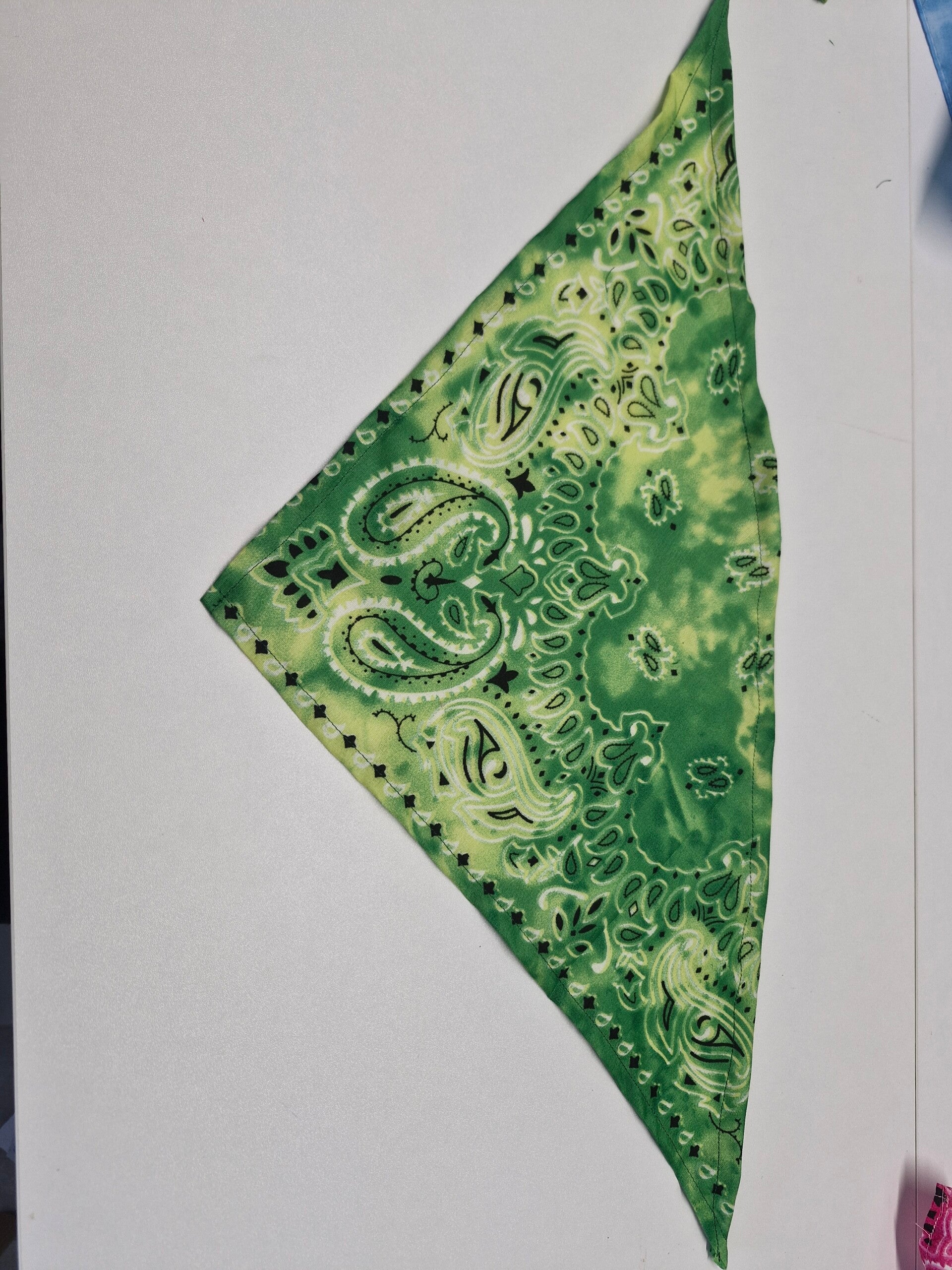Bandana Chien