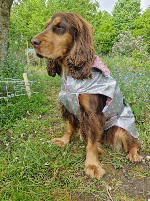 Manteau chien imperméable doublé mimky