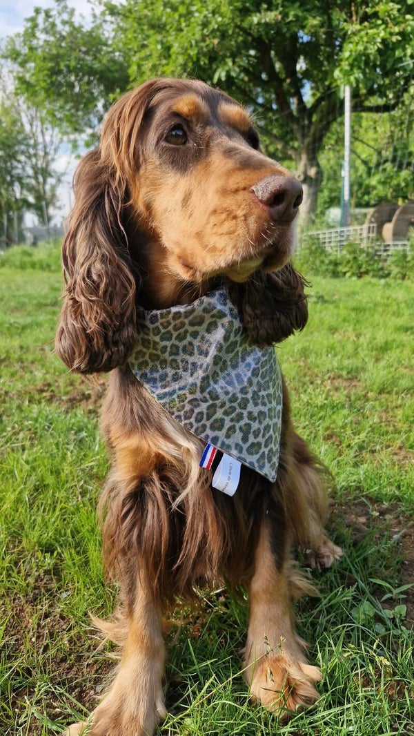 Bandana collier chien leopard