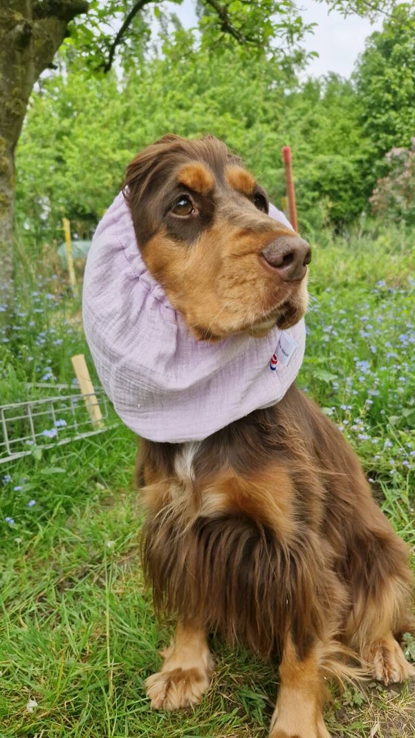 Snood en double gaze de coton uni