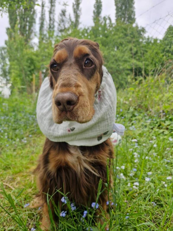 Snood cocker  en double gaze de coton