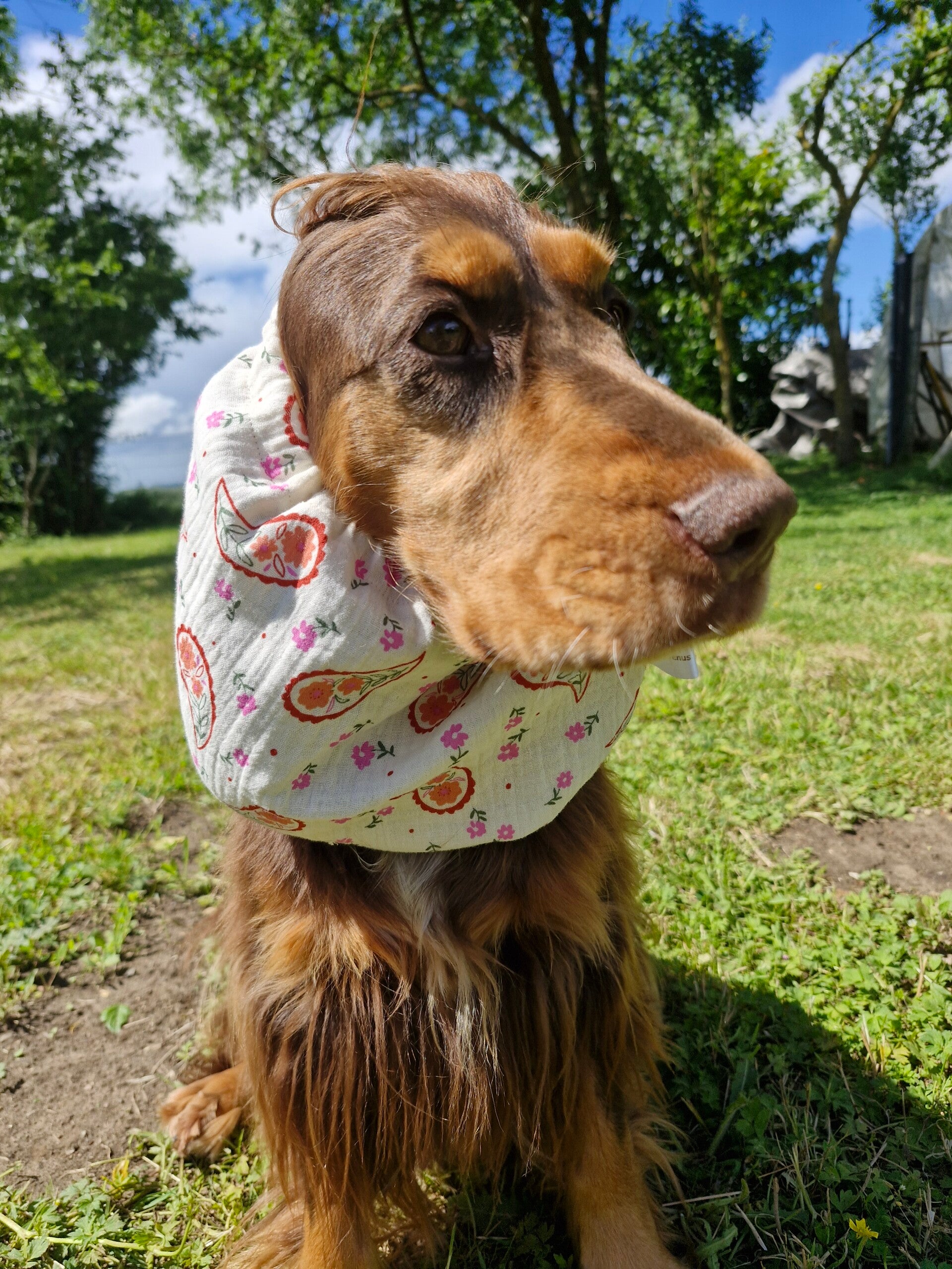 Snood cocker en double gaze de coton