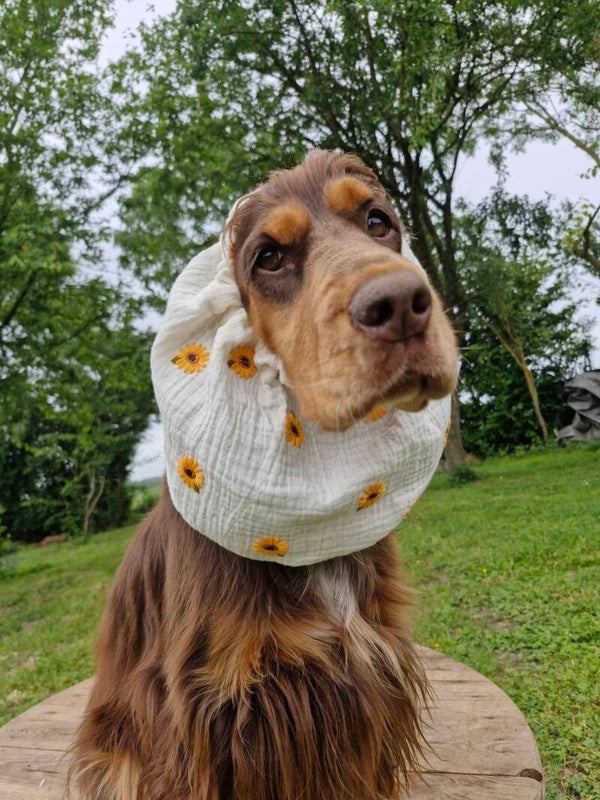 Snood en double gaze de coton tournesol 🌻