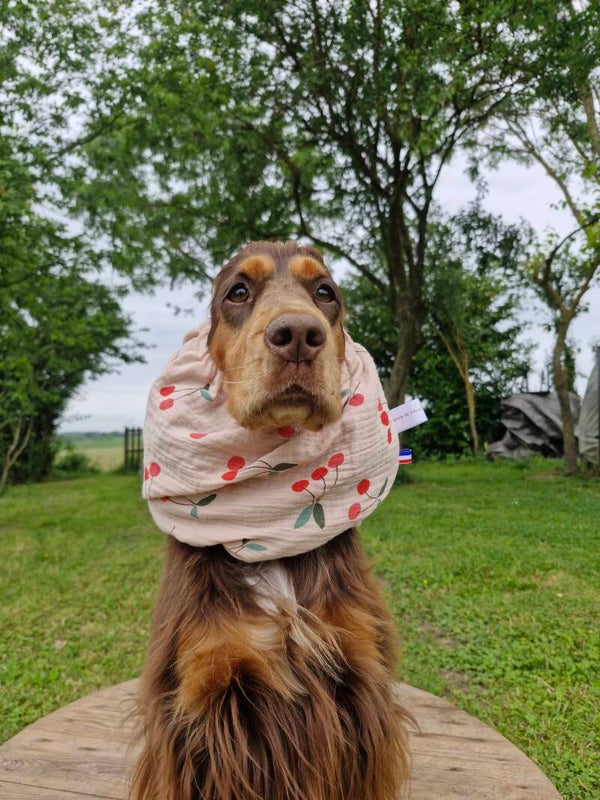 Snood en double gaze de coton cerises 🍒