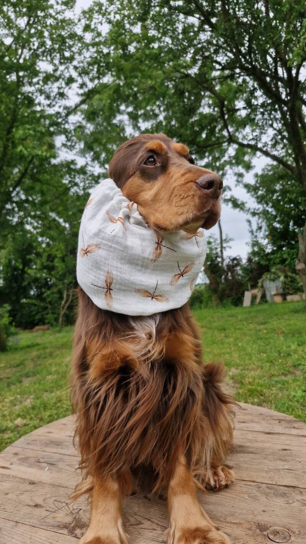 Snood en double gaze de coton libellule
