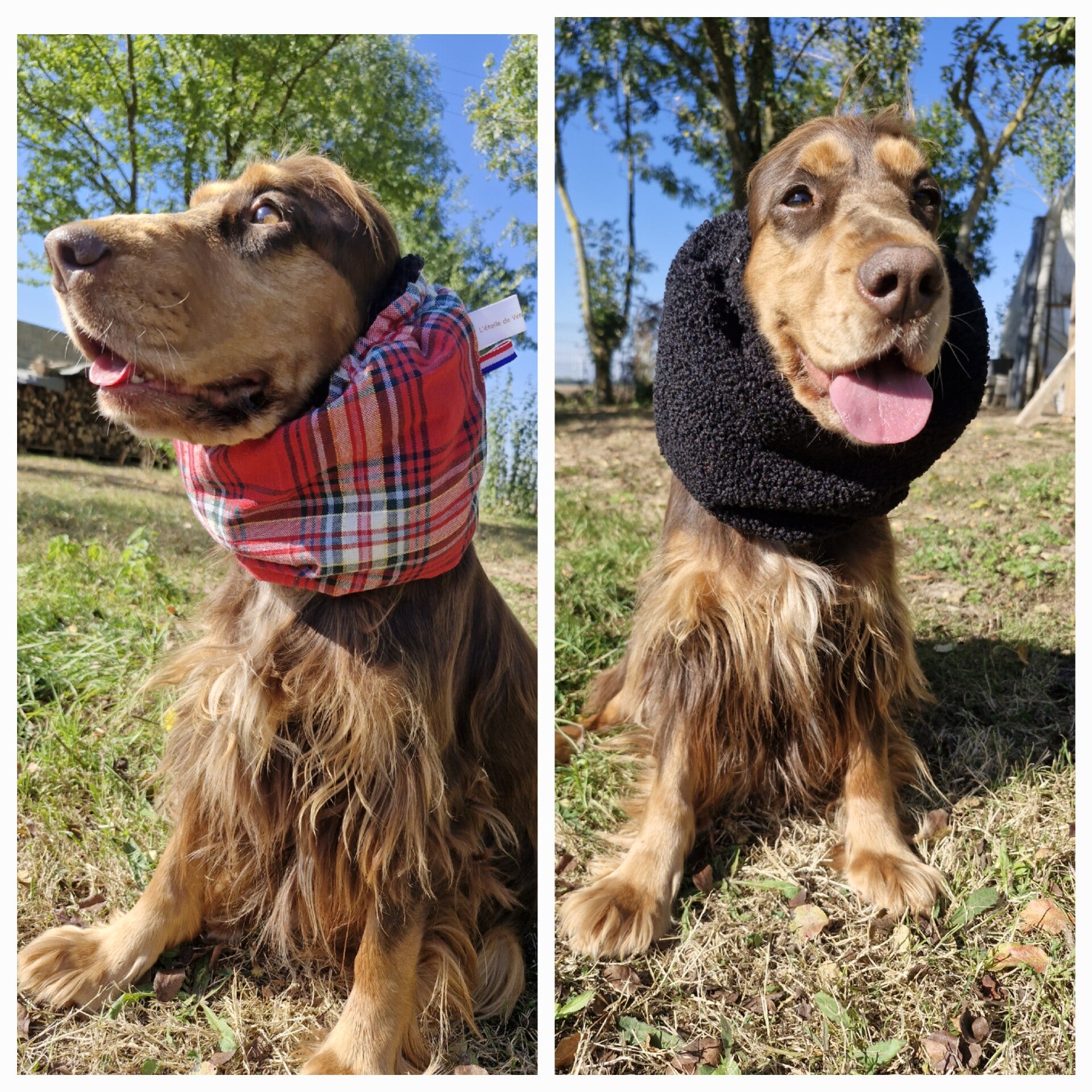 Snood en Tartan rouge doublé bouclettes noires 🍂