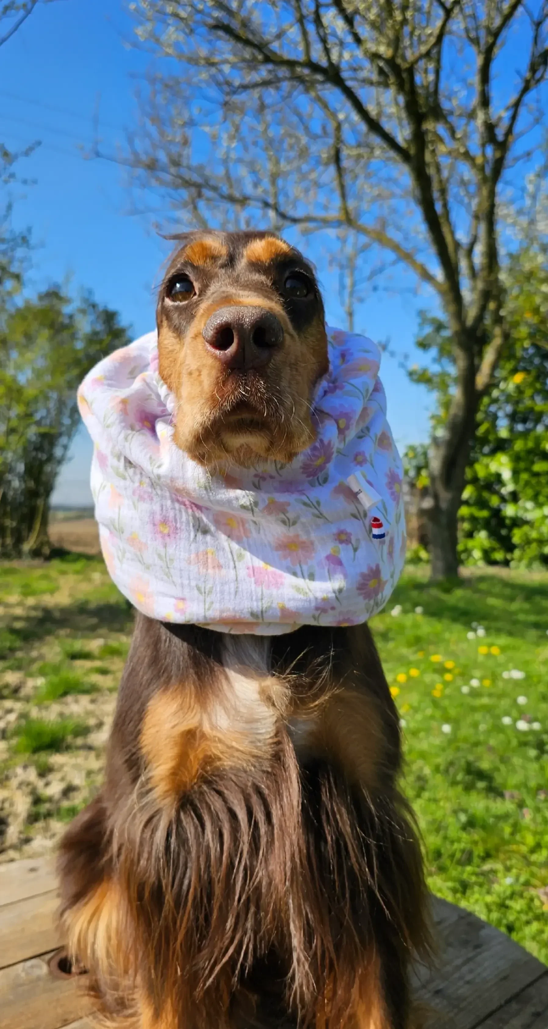 Snood cocker en double gaze de coton 🌸 Youpy