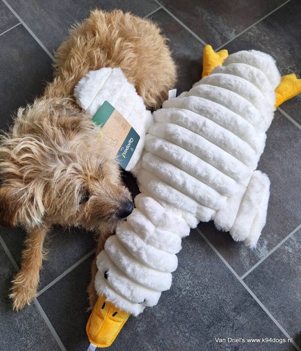 Gans 66cm kwaak/kraak en piep knuffel pluche