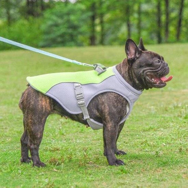 Koelvest cool dog verkoelend voor jouw hond
