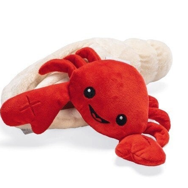 Hide and seek kreeft in schelp zoekspel zonder pieper