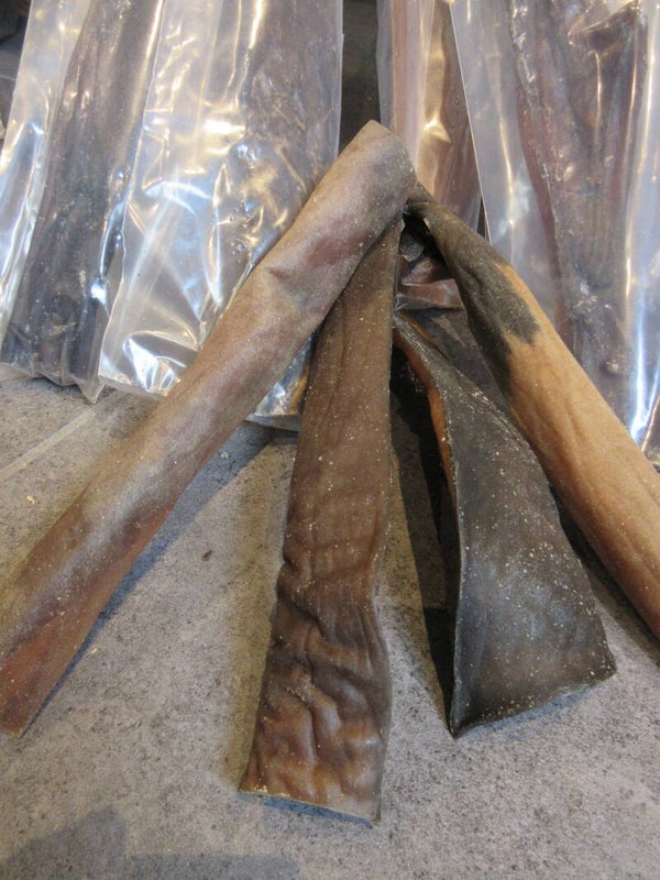 Kameel kophuid 70/80 cm lang p.st