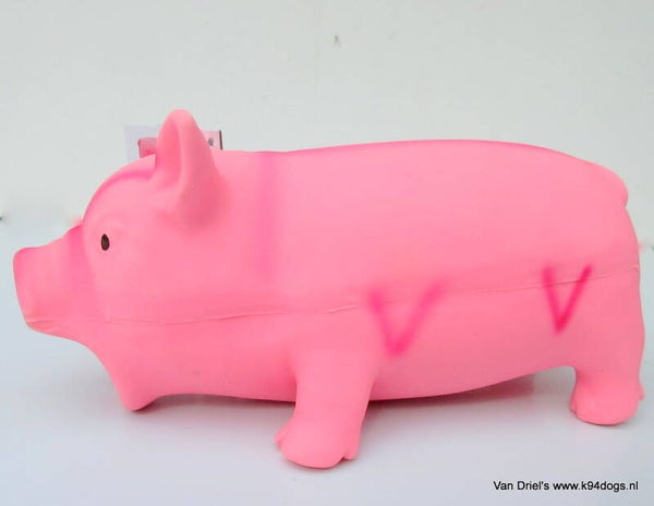 Latex varken met piep/knor geluid