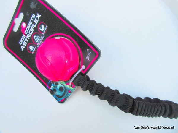 Dog comets bal aan bungee astroflex