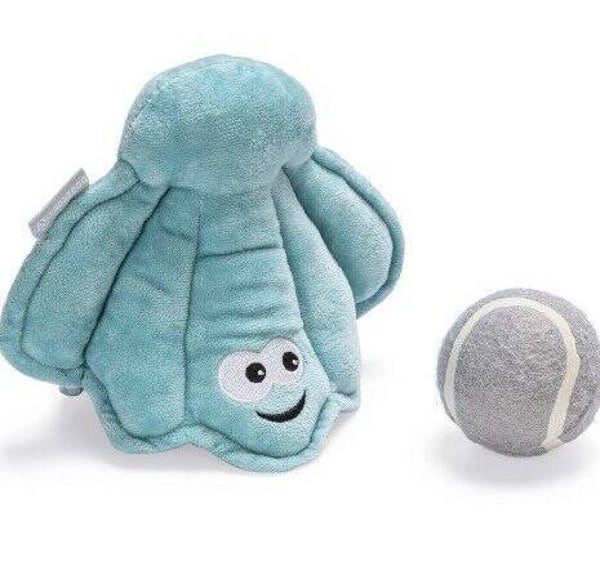 Hide and seek schelp verstopt een bal