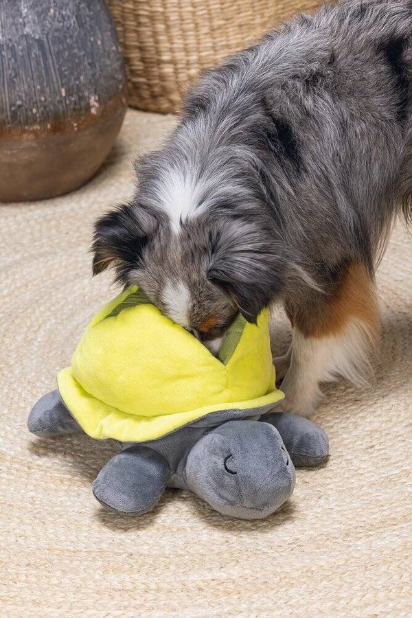 Hide and seek schildo pluche schildpad voor zoekspel