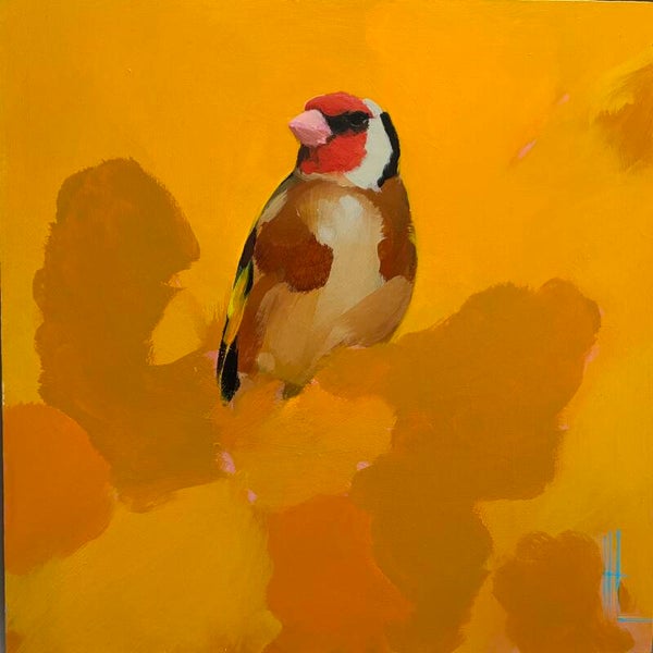 Goldfinch in marigold sunshine