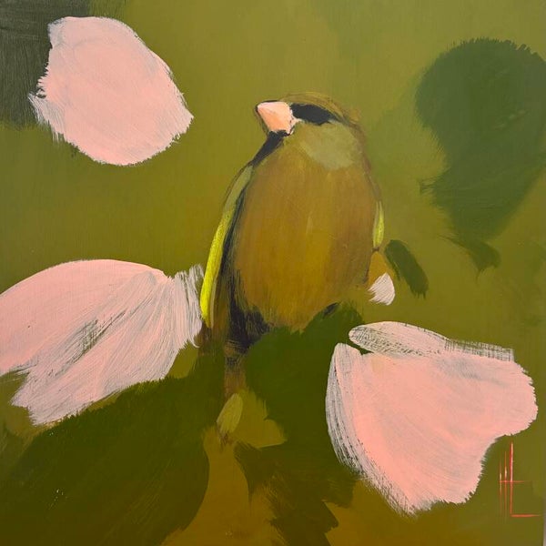 Greenfinch in dark olive and pink