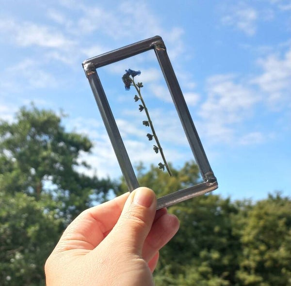 Wereld Alzheimer dag