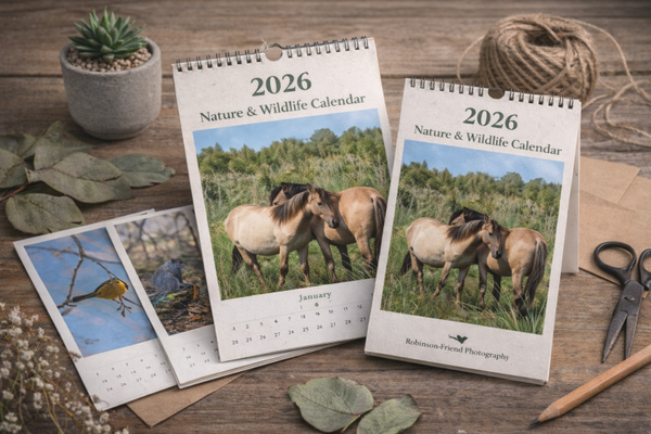 2026 Nature & Wildlife Wall Calendar