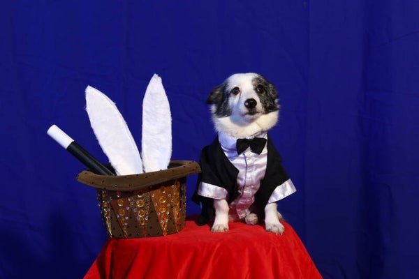 kinderkaartje  - geen locatie of datum bekend -