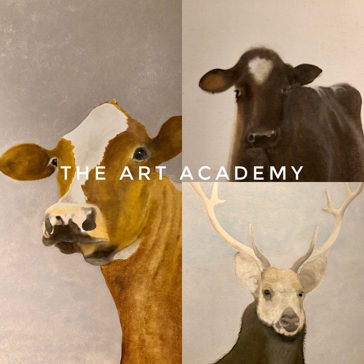 The Art Academy Borough | The Art Academy Student Stories – OVNI
