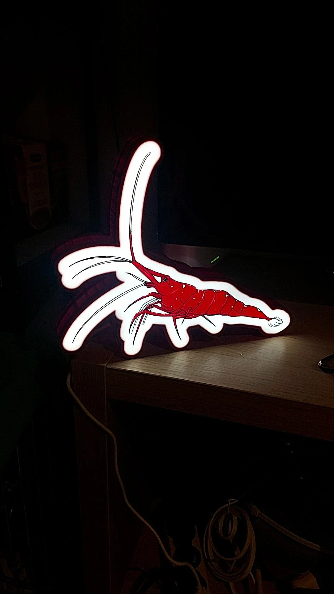 Caridina dennerli sulawesi garnaal