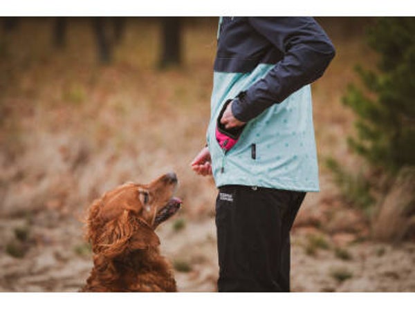 Firedog QuickReward beloningstasje