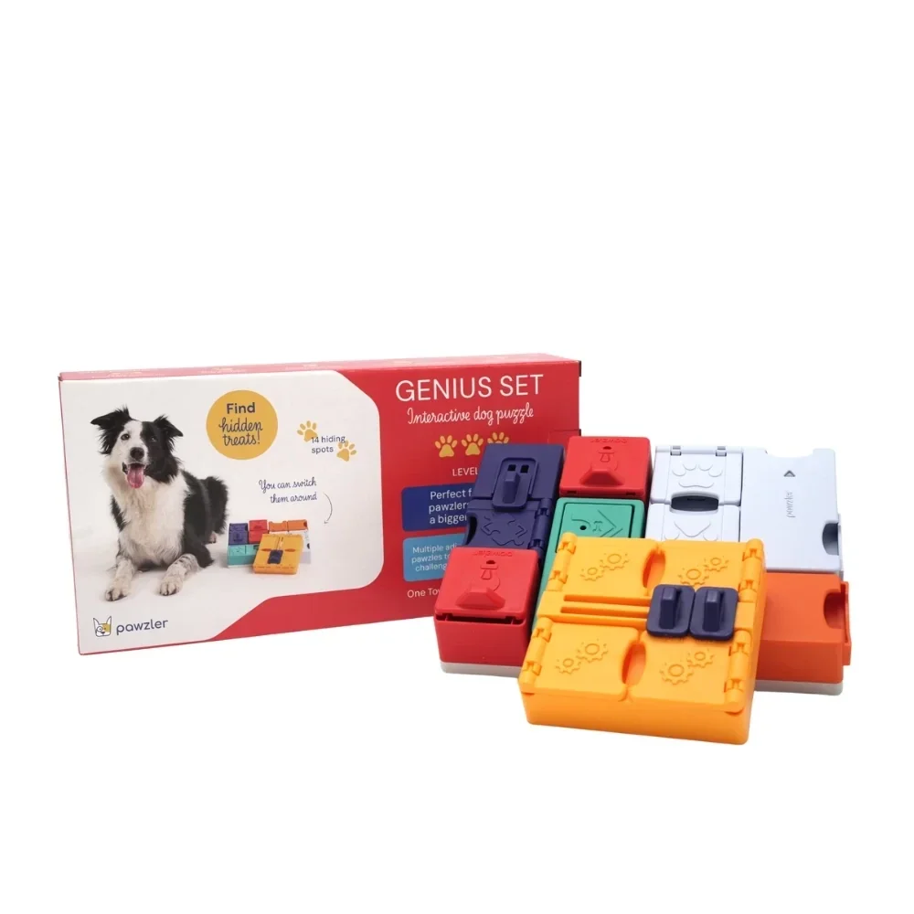 Pawzler Genius Set (niveau 3)