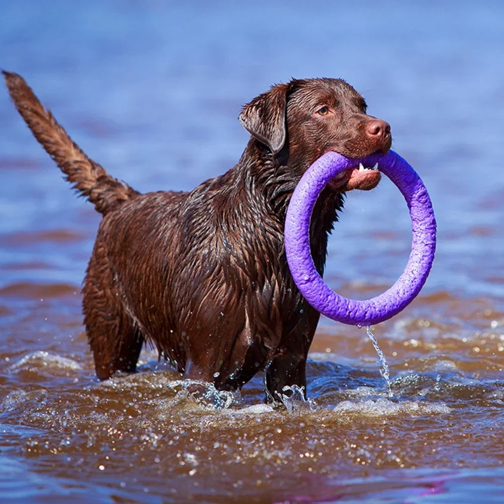 Puller Dog Fitness Tool