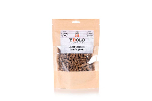 Ydolo Trainers lam