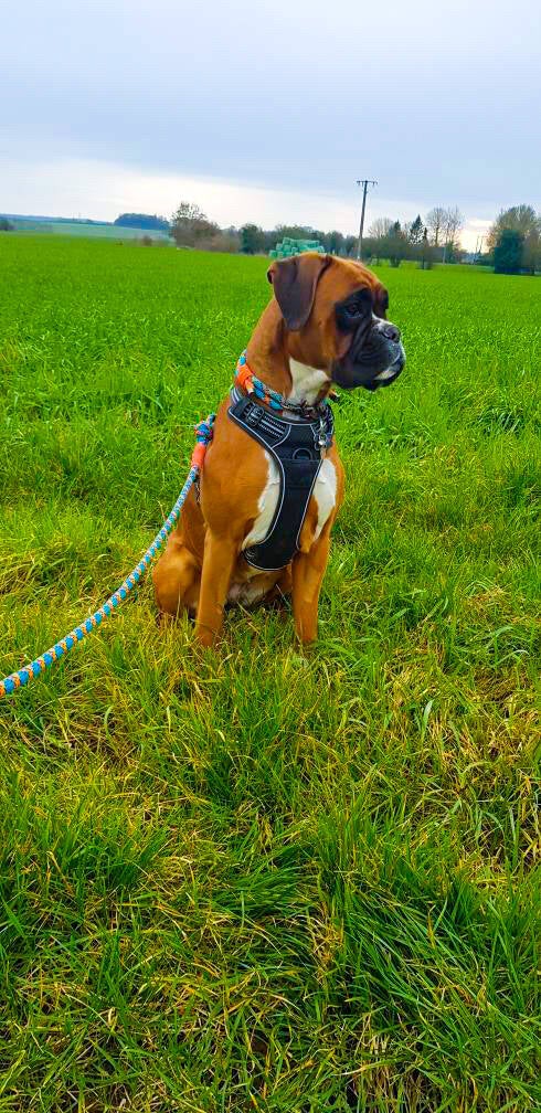 Moi avec ma parure Jenma Crea (collier et longe)