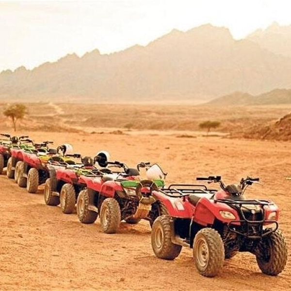 Safari