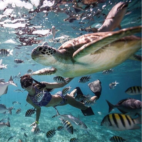 Snorkeling