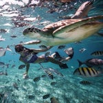snorkeling-2.jpeg